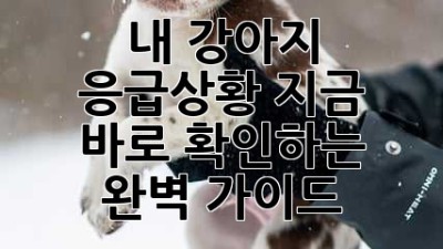 🐶내 강아지, 응급상황! 지금 바로 확인하는 완벽 가이드